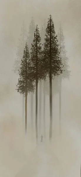 Редвуд Тумане — стоковое фото