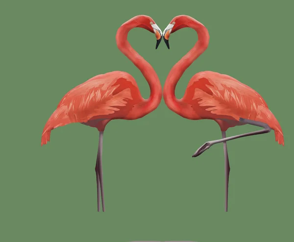 Flamingók fel a fejüket együtt alkotnak a szív alakú a Valentin-nap. — Stock Fotó