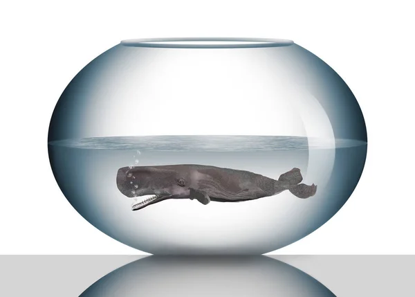 ビジネスの場で大きな問題を隔離し 制御することについてのこの3Dイラストの魚のボウルに精子クジラが見られます — ストック写真