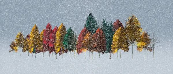 Kleurrijke Herfstbomen Meestal Aspens Zijn Zien Een Vroeg Seizoen Sneeuw — Stockfoto