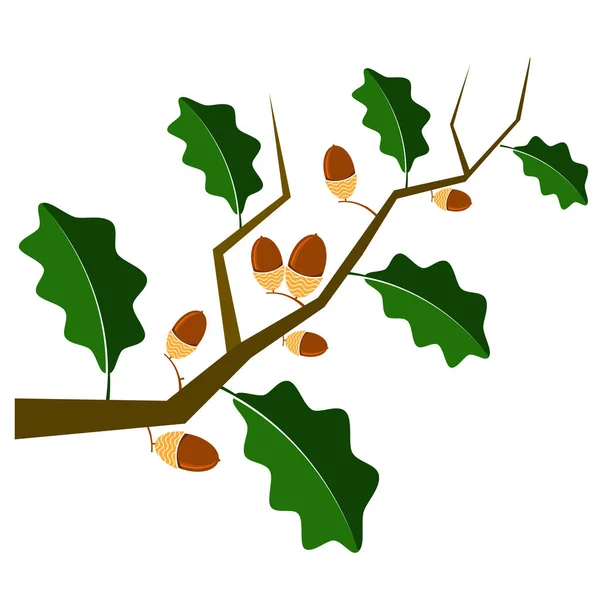 成熟的橡子图标。秋天橡木树枝和叶子标志 — 图库矢量图片