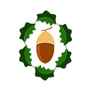 Olgun meşe palamudu simgesi. Sonbahar meşe somun ve yaprakları Logo