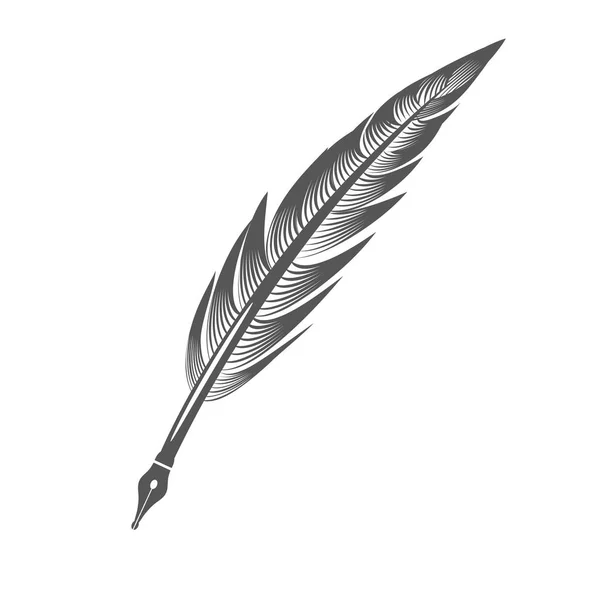 Grey Feather Pen — Stock Vector