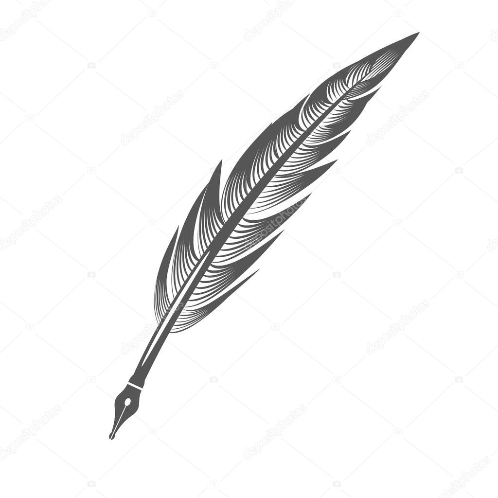 Grey Feather Pen Isolated on White Background