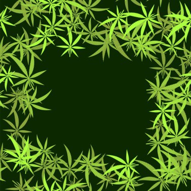 Yeşil Kenevir Kusursuz Arkaplan Bırakıyor. Marihuana deseni. Tıbbi kenevir büyümesi