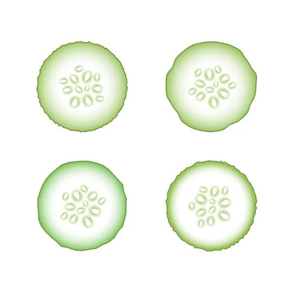 Uppsättning av färska gröna gurkor — Stock vektor