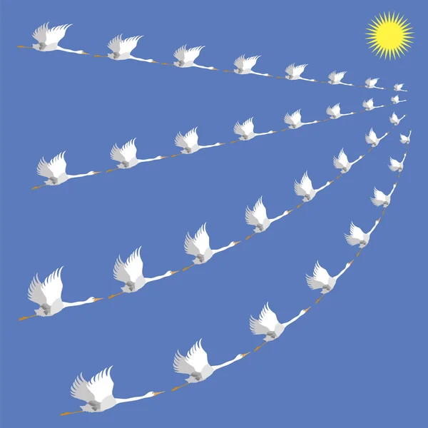 Стая Белых Гусей Дикие Птицы Летают Фоне Голубых Небес Сезонная — стоковое фото