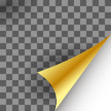 Kağıt altın sayfa Curl damalı zemin üzerine gölge ile