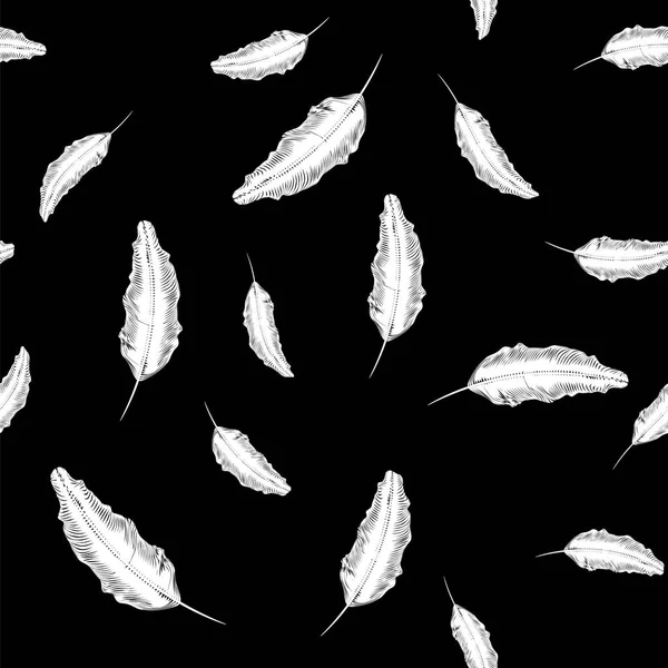 Bílé Peří Bezešvé Vzor Černém Pozadí — Stock fotografie