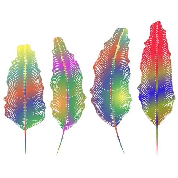 Set Different Colorful Feathers Isolated White Background — Stock Photo, Image