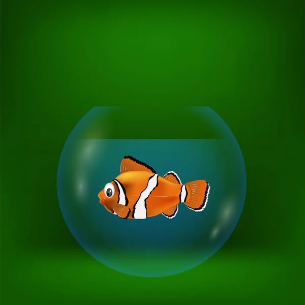 Colorful Illustration Sea Clown Fish Green Background — Stock Photo, Image