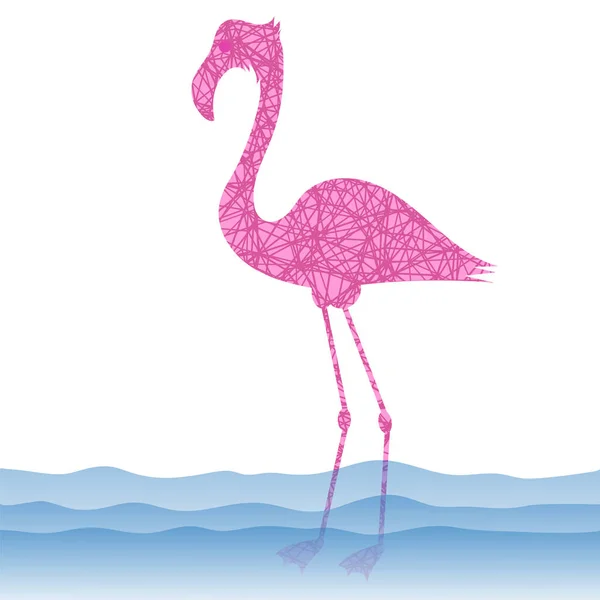 Pássaro Flamingo Rosa Água Azul Sobre Fundo Branco — Fotografia de Stock