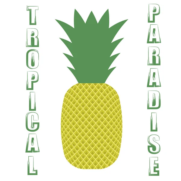 パイナップルのアイコンが白い背景の上 ビンテージ フルーツ ポスター バナー 文字ラベル — ストック写真