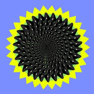 Yaz Ayçiçeği tohumları üzerinde mavi arka plan izole ile