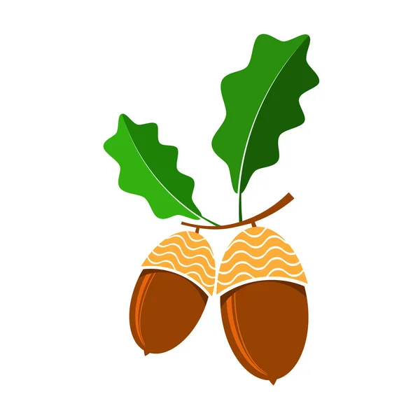 Ripe Acorn Icon Geïsoleerd Witte Achtergrond Herfst Eik Zaad Logo — Stockfoto