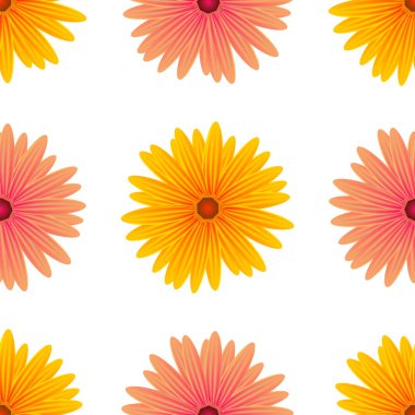 Beyaz arka plan üzerinde izole pembe sarı çiçekler bahar. Sorunsuz çiçek deseni