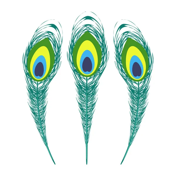 Conjunto de coloridas plumas de pavo real . — Vector de stock
