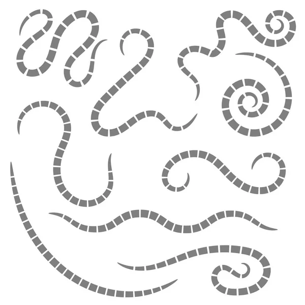 Ascarid, Helminth, Pinčerv, threadworm. Parazita izolovaný na bílém pozadí — Stock fotografie