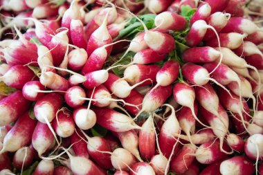 Kırmızı turp demetleri.