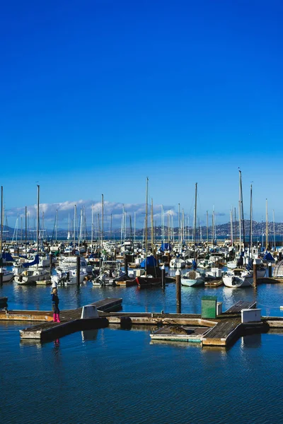 San Francisco Kaliforniya, 6 Ocak 2018, Golden Gate Bridge Park Marina: San Francisco, Ca, ABD mavi gökyüzü karşı tekneler Dock