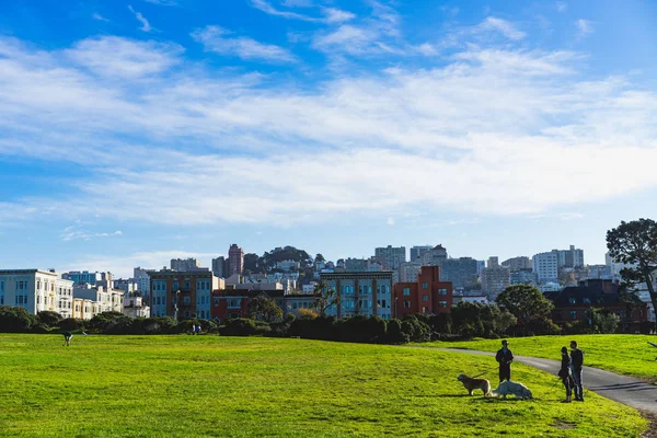San Francisco Kaliforniya, 6 Ocak 2018: köpek terbiyecisi park sahne