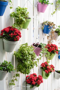 Kırmızı, yeşil ve beyaz bir çit asılı diğer renk çiçek.