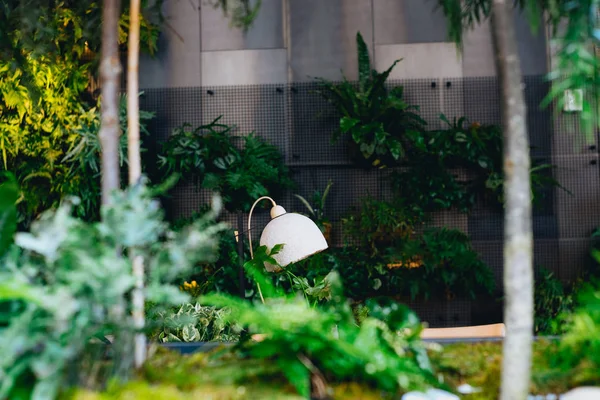 Kapalı bitkiler ile çevrili bir lamba