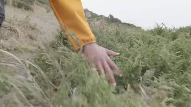 Ten chlap mu protáhne ruku horskými keři — Stock video