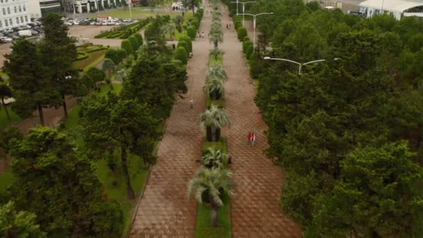 Palmeras en Batumi, plano aéreo desde arriba — Vídeos de Stock