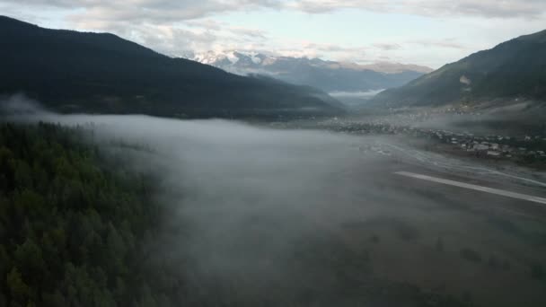 Drone volador en la niebla a través de los árboles — Vídeos de Stock