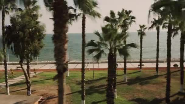 La costa del mar Mediterráneo. Palm drone tiro — Vídeo de stock