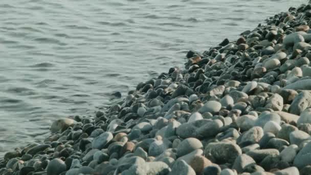 Panorama della costa del Mar Nero, mattina presto — Video Stock