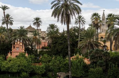 Alcazar'da palmiyeler ve ağaçlar