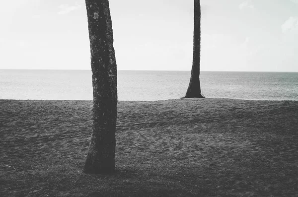 Palmeiras, areia o oceano eo céu perto de Honolulu, Havaí, EUA — Fotografia de Stock