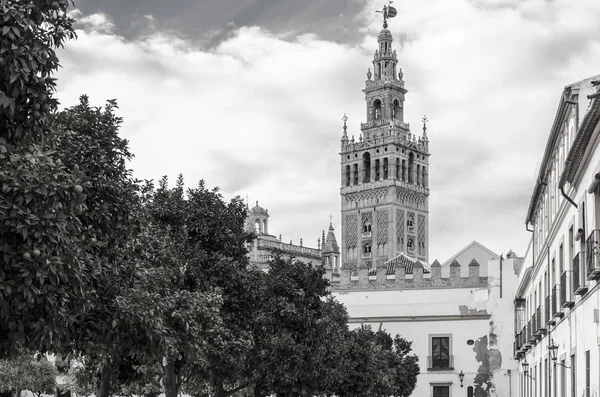 Башня Хиральда в чёрном и белом — стоковое фото