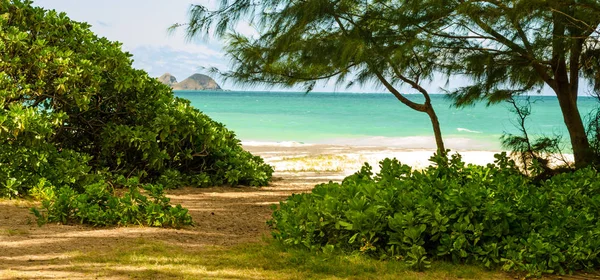 Caminho para a praia — Fotografia de Stock