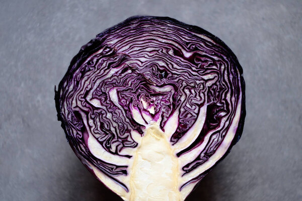 Red cabagge inside paths flowing from the center trunk