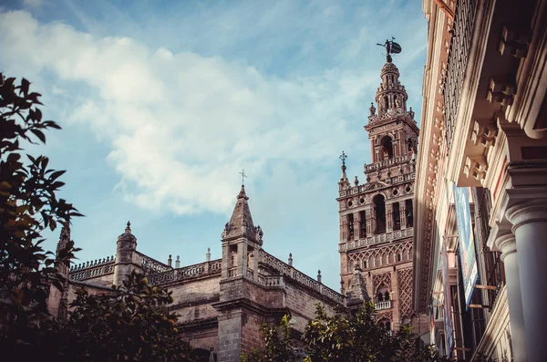 Patio de Banderas meydanından Giralda görünümü