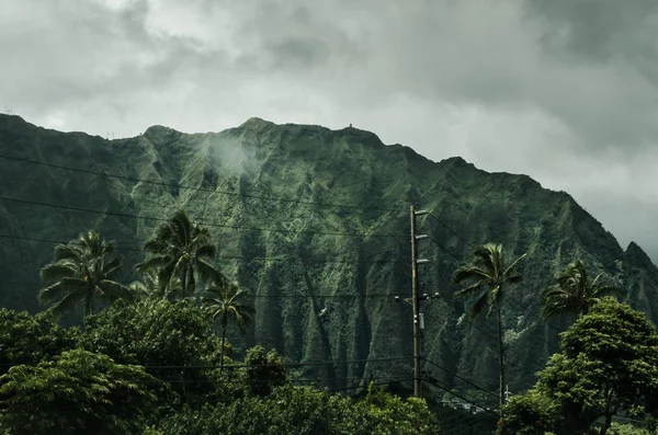 Гаваї зелені гори — стокове фото