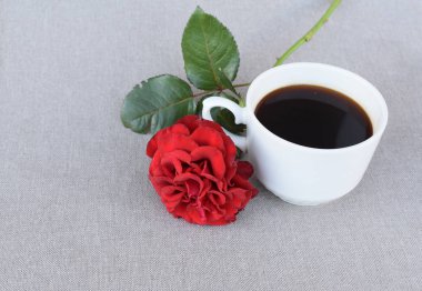 Kahve ve kırmızı tuval üzerine gül Kupası