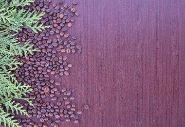 Arka plan doku kahve çekirdekleri ve Çam iğneleri