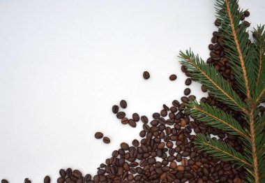 Kahve çekirdekleri ve yeşil çam dal beyaz arka plan.