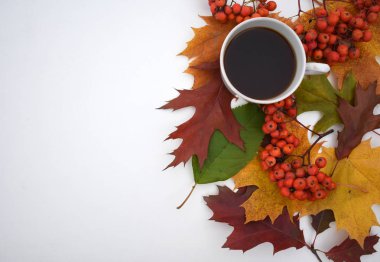 Beyaz fincan kahve renkli arka plan üzerinde bırakır. Beyaz arka plan.