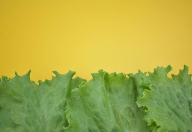 Sarı bir gemide bir arka plan taze marul yaprakları.