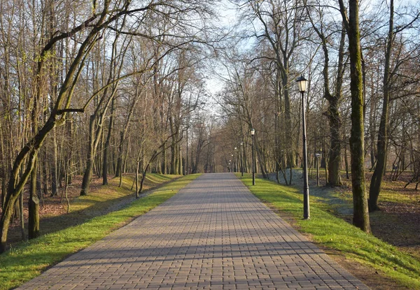Landschap Weg Het Park Tussen Bomen — Stockfoto