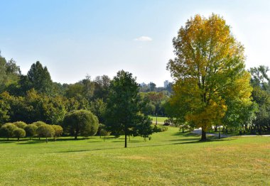 Background landscape early autumn.