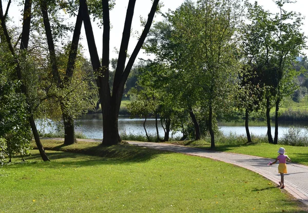 Paesaggio Alberi Alto Fusto Prato Verde — Foto Stock