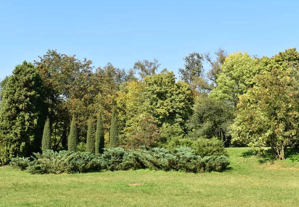 Aménagement Paysager Panoramique Dans Parc — Photo