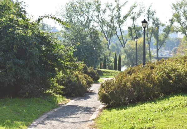 Road in the park among green spaces.