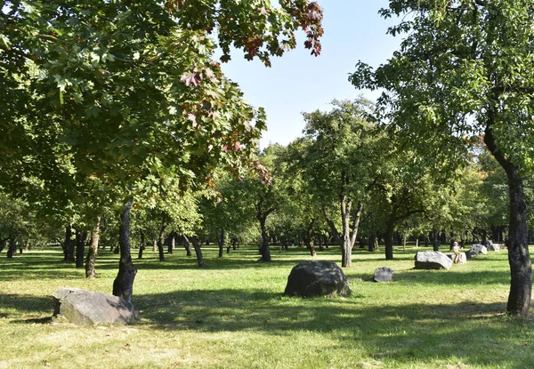 Пейзаж Фон Композиция Построена Камней Парке — стоковое фото